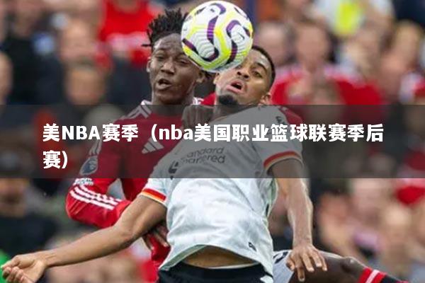 美NBA赛季（nba美国职业篮球联赛季后赛）