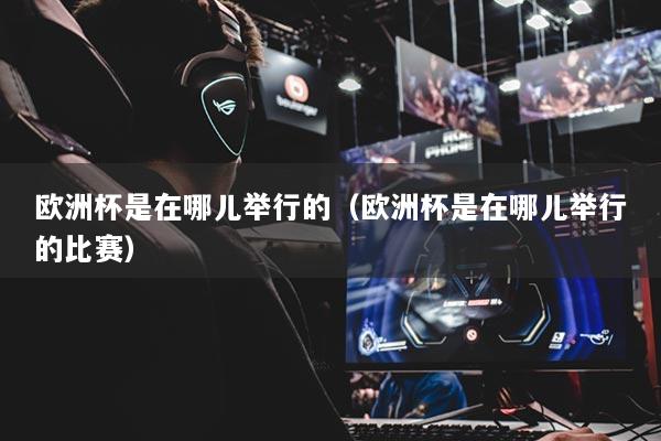 欧洲杯是在哪儿举行的（欧洲杯是在哪儿举行的比赛）