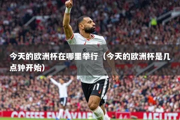 今天的欧洲杯在哪里举行（今天的欧洲杯是几点钟开始）