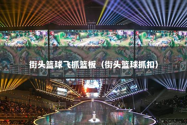 街头篮球飞抓篮板（街头篮球抓扣）