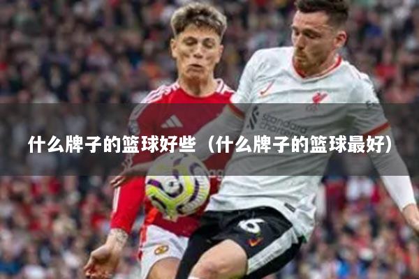 什么牌子的篮球好些（什么牌子的篮球最好）