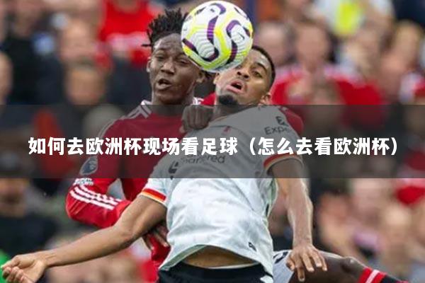 如何去欧洲杯现场看足球（怎么去看欧洲杯）