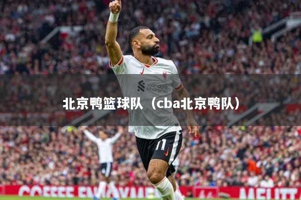 北京鸭篮球队（cba北京鸭队）
