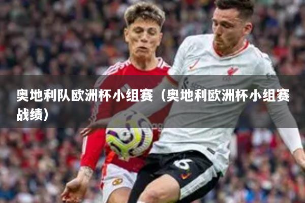 奥地利队欧洲杯小组赛（奥地利欧洲杯小组赛战绩）