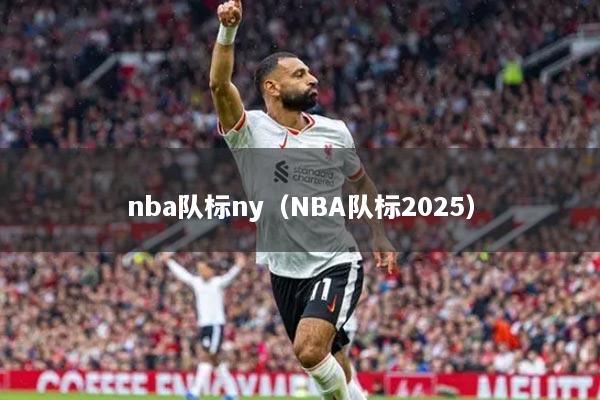 nba队标ny（NBA队标2025）
