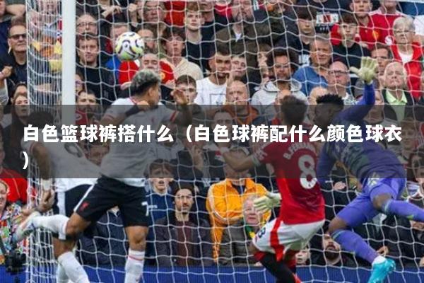 白色篮球裤搭什么（白色球裤配什么颜色球衣）